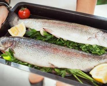 Lachsforellen aus dem Ofen