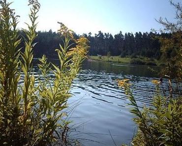 Einheimischen-Tipp: Der Birkensee – Ein kleines Paradies im Reichswald