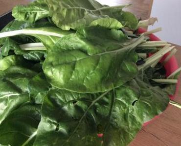 Pastarolle mit Mangold