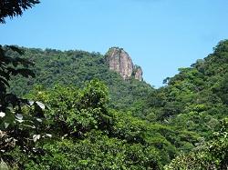 Tijuca Nationalpark in Rio de Janeiro (©Halleypo, Wikimedia Commons 2011)
