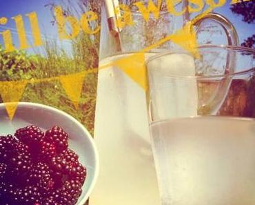 Limettenwasser mit Brombeeren und Salz