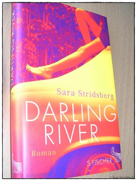 [Rezension] Darling River (Sara Stridsberg)