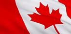 canada Lets Player Insights Juli 2014   Weltweit