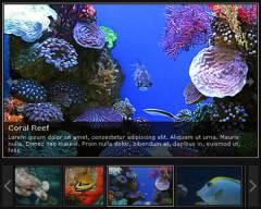 javascript_slideshow