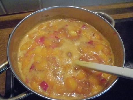 Aprikosen-Chutney mit Chili und Curry