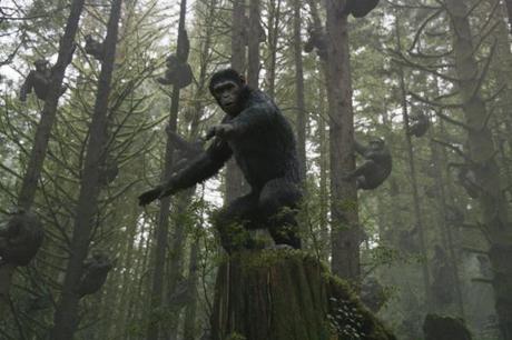 Caesar und seine Affen leben friedlich in den Wäldern um San Francisco in Matt Reeves Sequel 