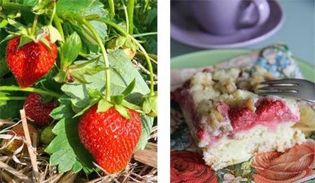 Erdbeer-Walnuss-Streuselkuchen
