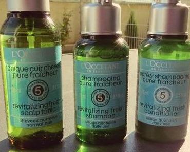 Review: L`Occitane Haarpflege „Fresh & Revitalizing“