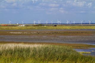 Wattenmeer - Vogelschutzgebiet und Windkraftanlagen