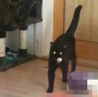 Apportieren - wasn' das?