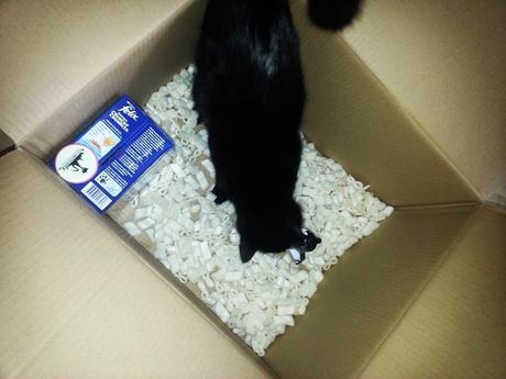 SIEGER..SIEGER..FRESSEN..FRESSEN..?!