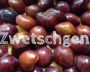 Zwetschgenkuchen und Sommerpause