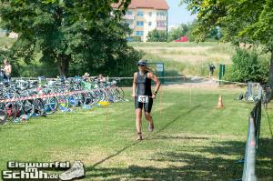 EISWUERFELIMSCHUH - MÜRITZ Triathlon 2014 Waren (240)