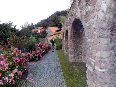 Alte-Stadtmauer