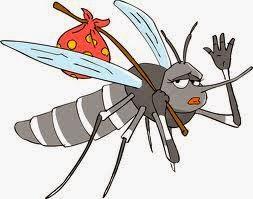 Mücken vertreiben - Mückenstiche behandeln