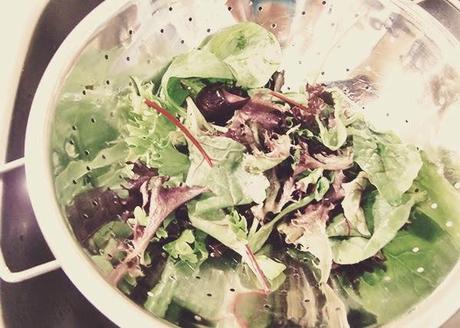 Melonen-Feta-Salat – ein fixer kulinarischer Sommerhit