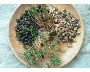 Die Geheimnisse der Kräuter