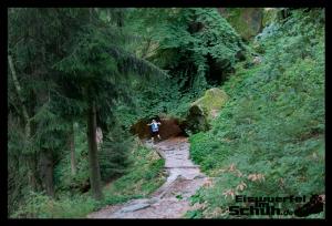 EISWUERFELIMSCHUH - Trail Lauf Saechsische Schweiz Lilienstein Mizuno (27)
