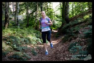 EISWUERFELIMSCHUH - Trail Lauf Saechsische Schweiz Lilienstein Mizuno (26)