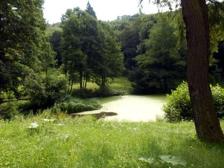 Wildpark Christianental in Wernigerode