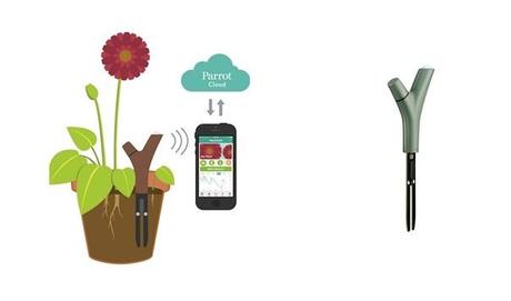 Parrot-Flower-Power-Bluetooth-Sensor-Brown-04-2014-4