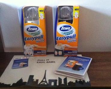Zewa Wisch&amp;Weg Easy Pull Papierspender im Test