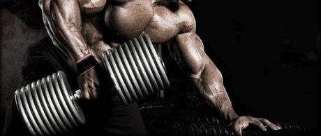 bodybuilding anfänger trainieren tipps