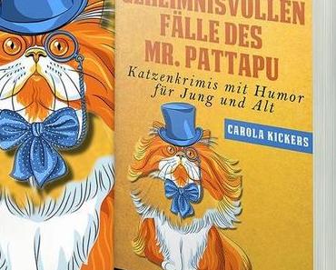 Weihnachtsblogtour für Mr. Pattapu - Wer macht mit?