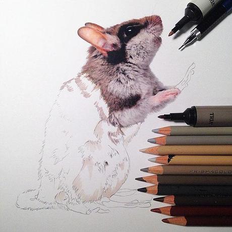 Fotorealistische Zeichnungen von Tieren (by Karla Mialynne)