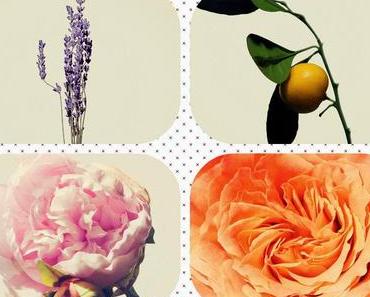 Eine mediterrane Meditation