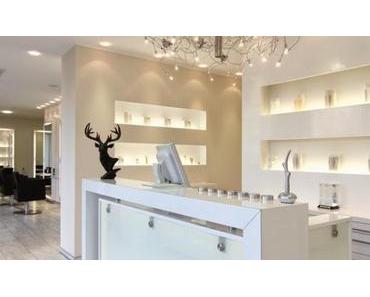 Daniel Steinmacher Salon