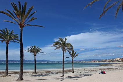 Palmenstrand Mallorca Urlaub