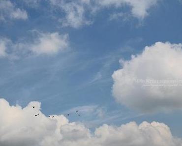 Freudige Erwartung | in heaven