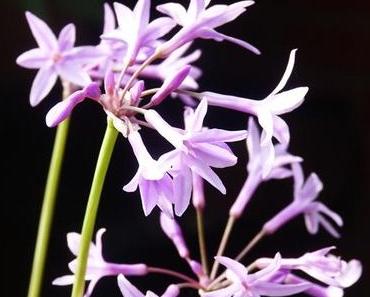 Wer bin ich, was kann ich und wo will ich hin?