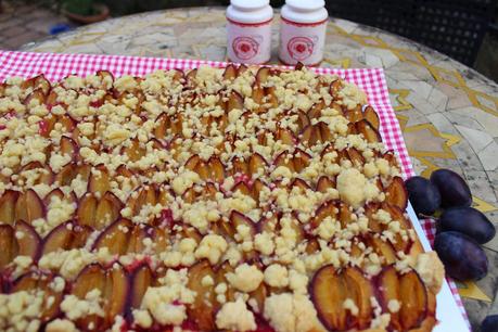 Selten waren die Zwetschgen so gut wie dieses Jahr - deshalb gibt´s Zwetschgenkuchen mit Streusel