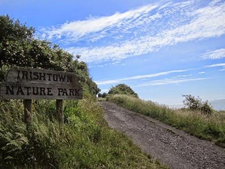 Irishtown Nature Park - es lohnt sich