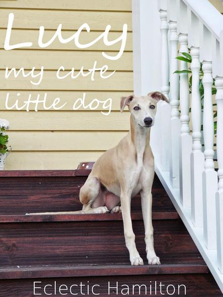 Dog Love - Lucy