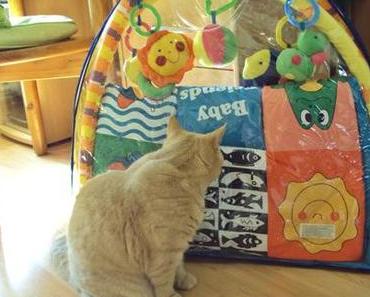 Endlich noch mal wieder etwas “Schönes”…