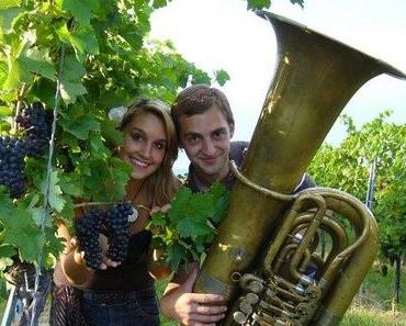 Mödlinger Weinherbst 2014