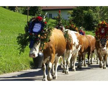 Kiahkemma – Almabtriebe in Südtirol