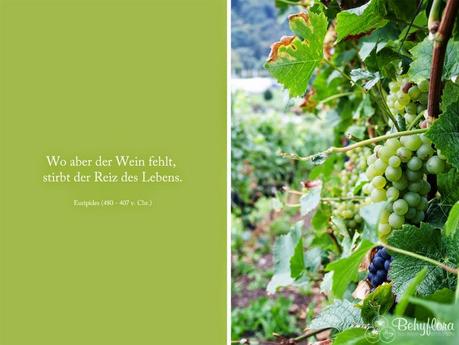 {Outside} Ein Wochenende mit Wein