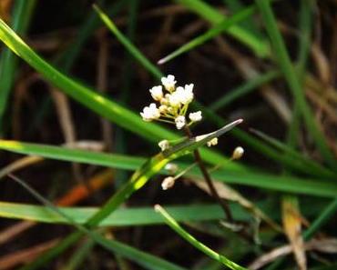 Der Frühling ist da…