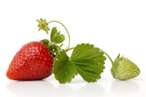 Rezept – natürliche Erdbeermarmelade mit Vanille
