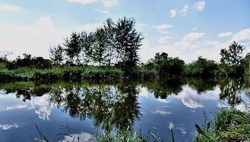 Allerlei Flugbetrieb und Odenwälder Natur