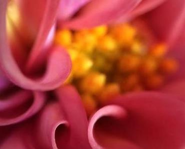 Und offline so? | Tabuthema RDS