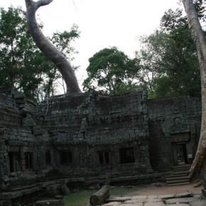Kambodscha: Killing Fields, Angkor Wat und der 200. Tag auf Reisen