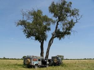 Mit einer Mietwagenreise auf Safari durch Botswana Bild:wbwolfgang/pixabay.com