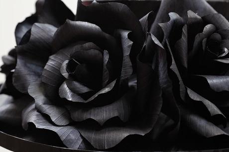 black roses