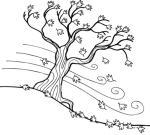 Älter-schneller-leichter-besser…