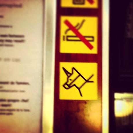 10665905 963245623690992 93467463 n Das Mitführen von Einhörnern wird strengstens empf...